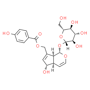 穗花牡荆苷