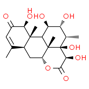 14,15β-dihydroxyklaineanone