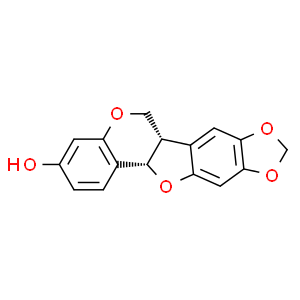 高丽槐素